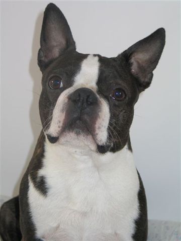 CH. Retour en force Du grand fresnoy